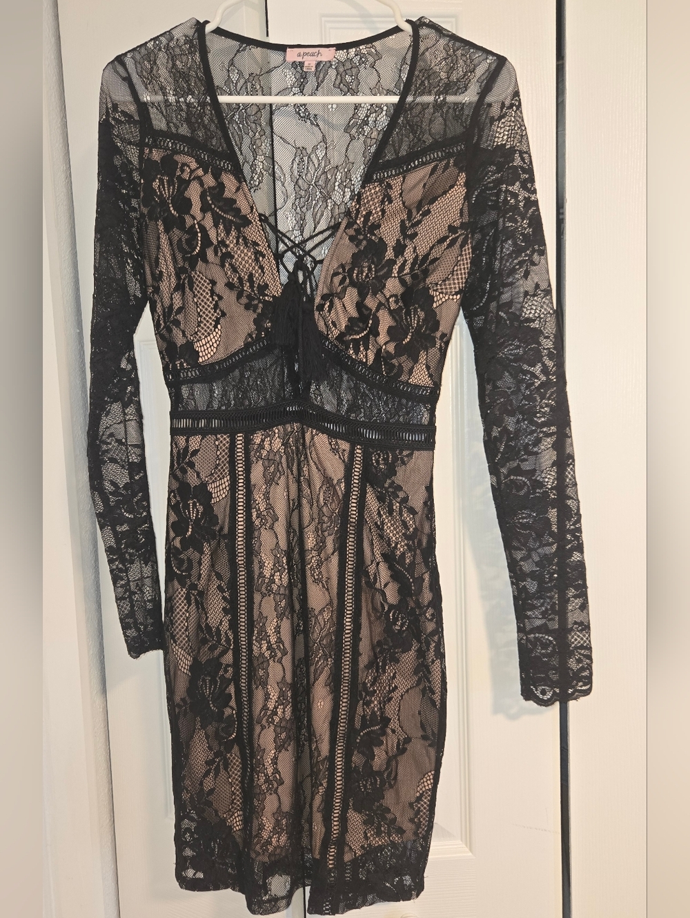 a.peach Black Lace Overlay Dress with Nude Lining